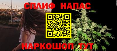 PSILOCYBIN Кунгур