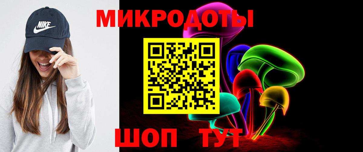 Псилоцибиновые грибы Psilocybe Феодосия